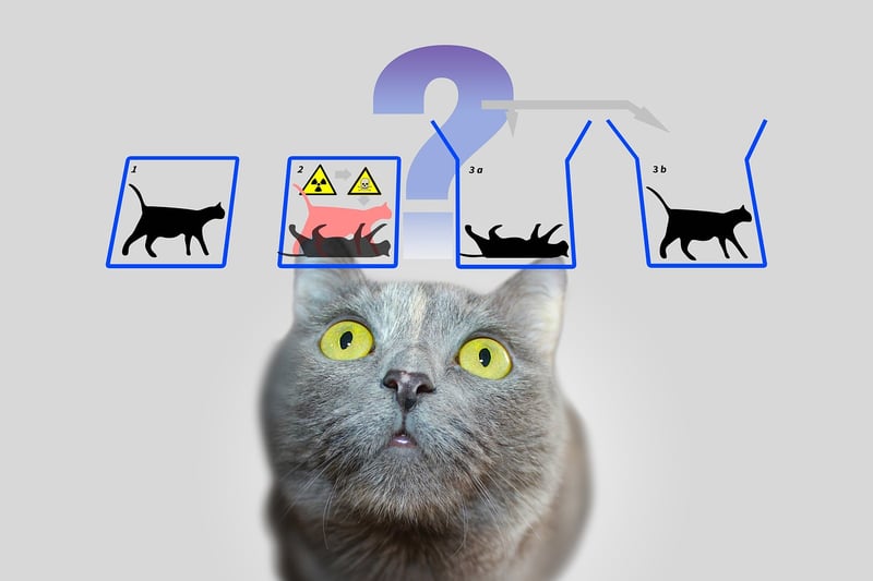 Quantum Entanglement